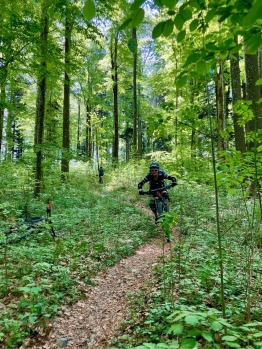 Lady Bike Day